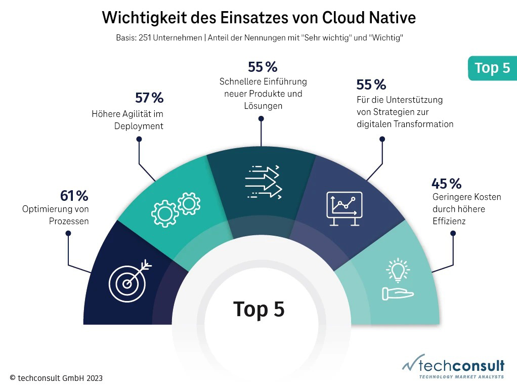 Kuchendiagramm mit Prozenten zum Einsatz von Cloud Native