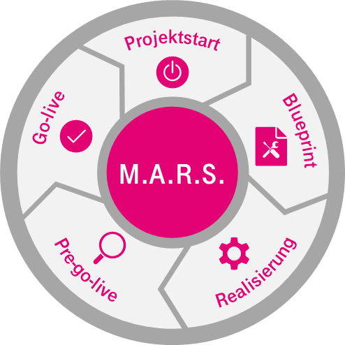Schaubild zeigt den Ablauf beim Einstieg in MARS.
