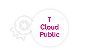T Cloud Public Logo auf weißem Hintergrund mit einer hellgrauen Auszeichnung.
